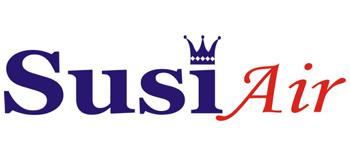 1S logo