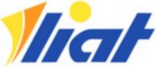 LI logo