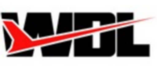 W1 logo