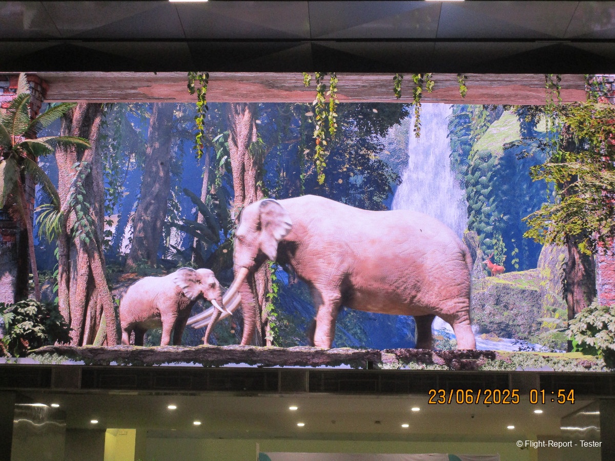 photo img_8030