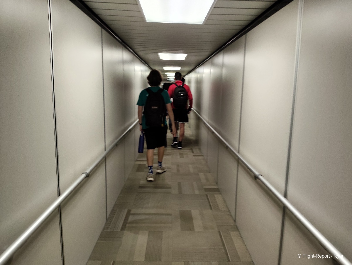 photo img_20260617_044312