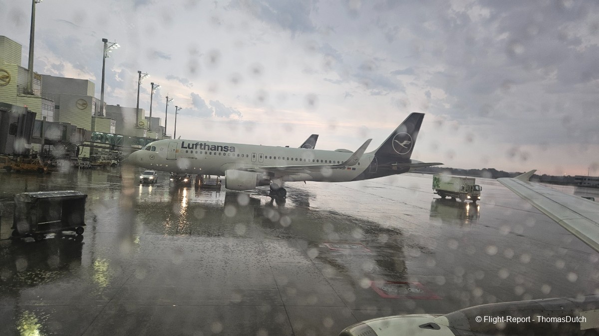 photo 20250816_064125