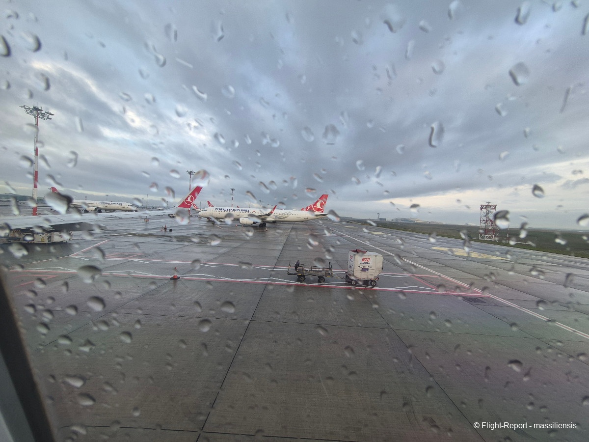 photo 20260207_085754