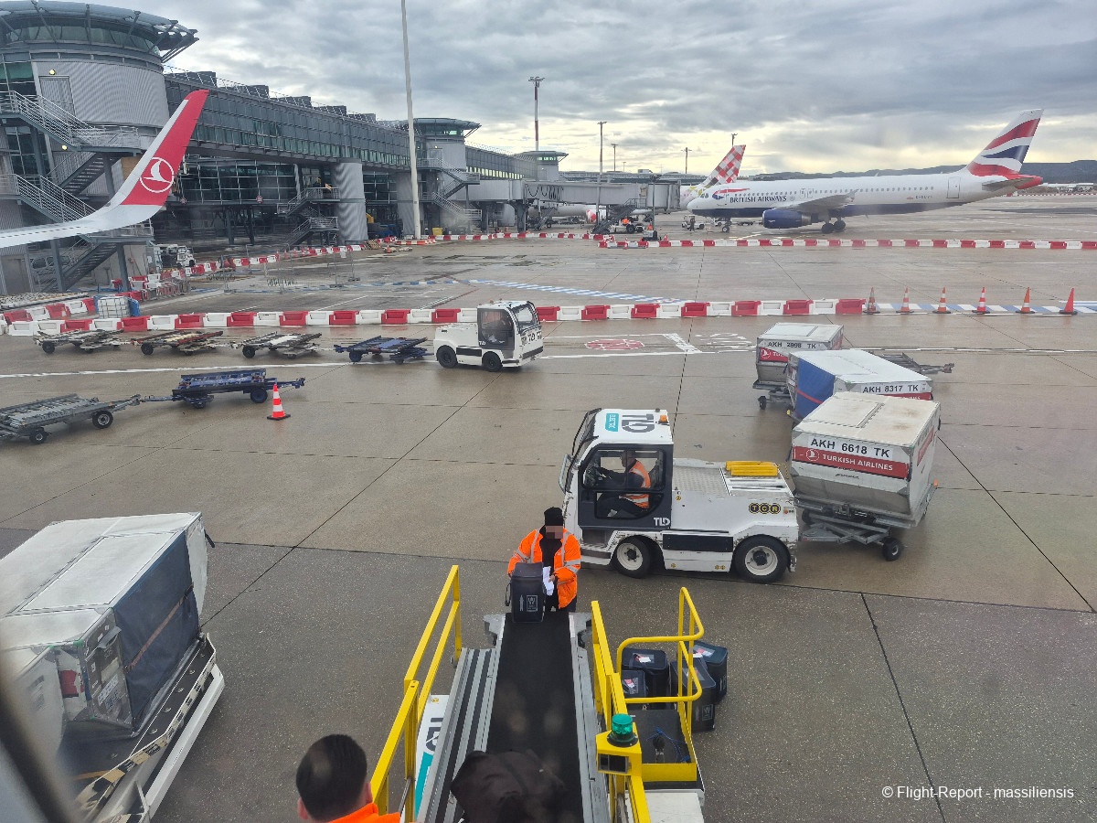 photo 20260207_110414