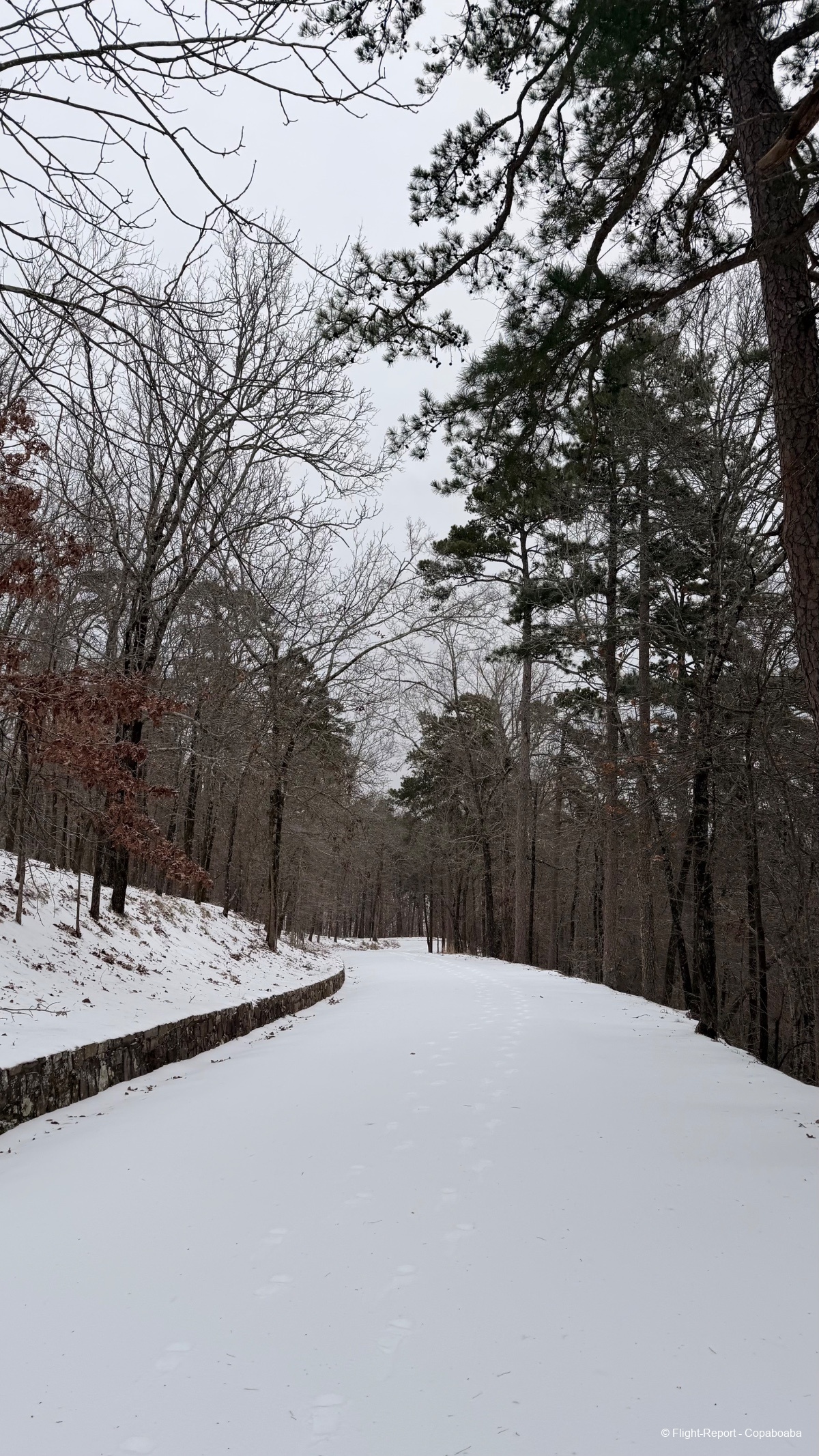 photo tempimagenaoc0z