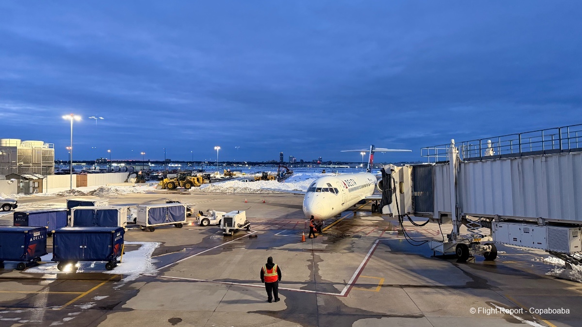 photo tempimageubawg8