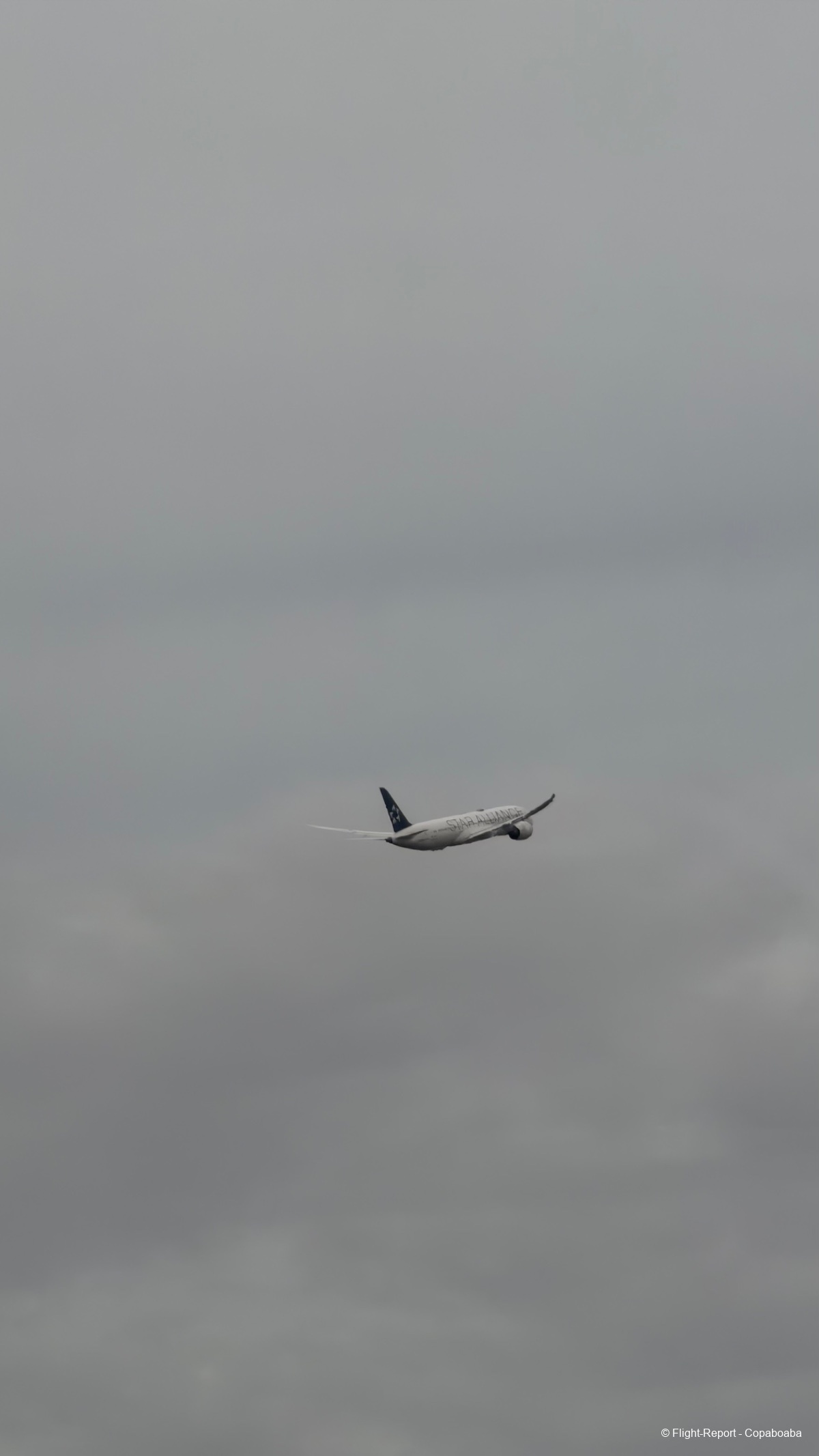 photo img_5362