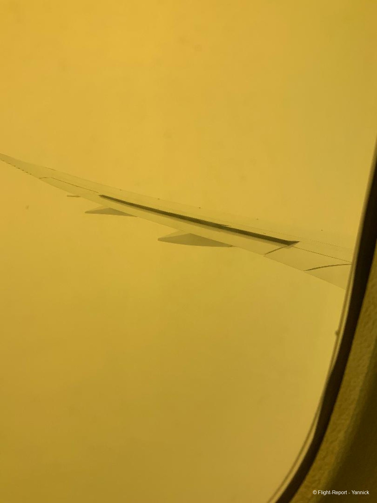 photo thumbnail-13