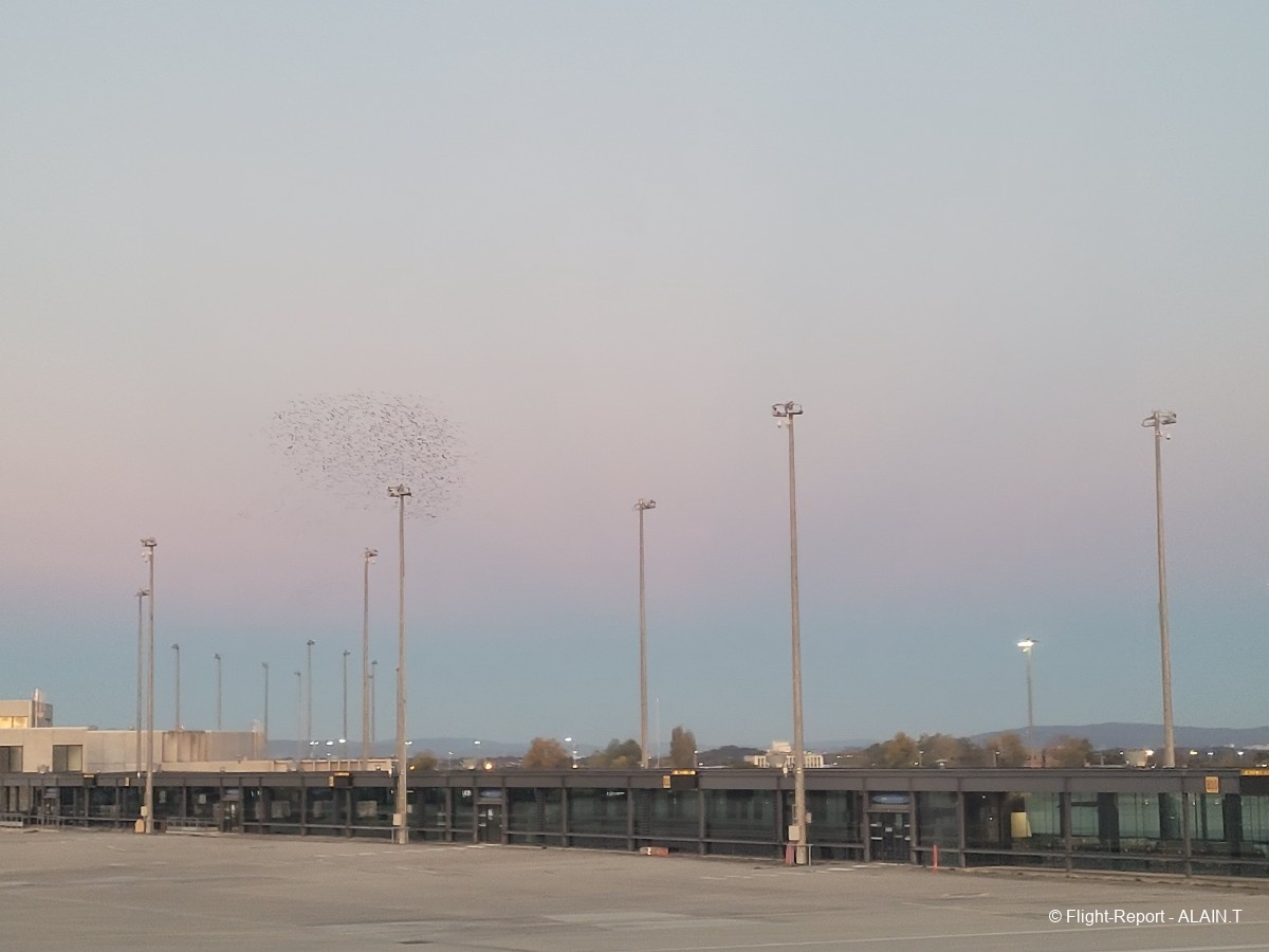 photo 20251105_071631