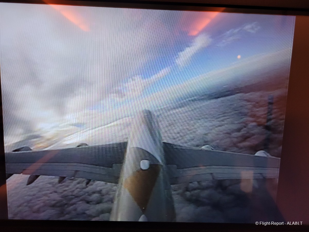 photo 20260204_105339