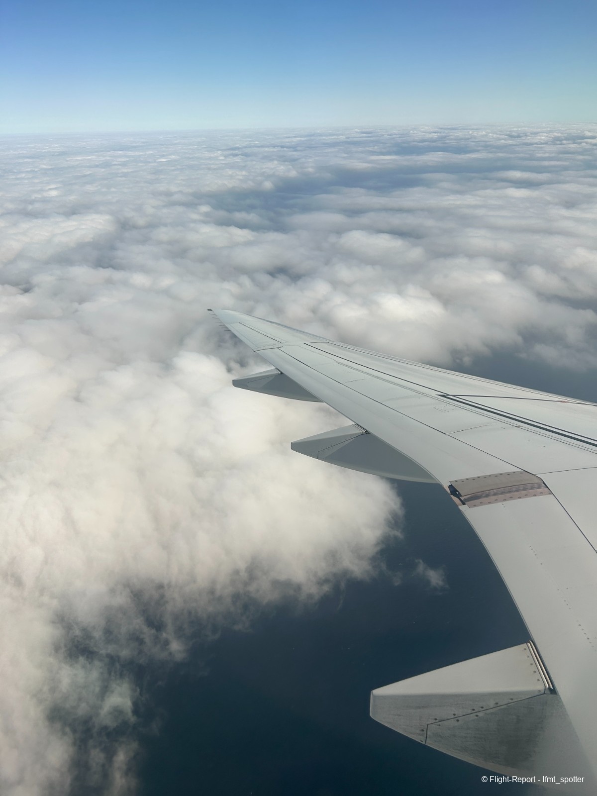 photo image00821