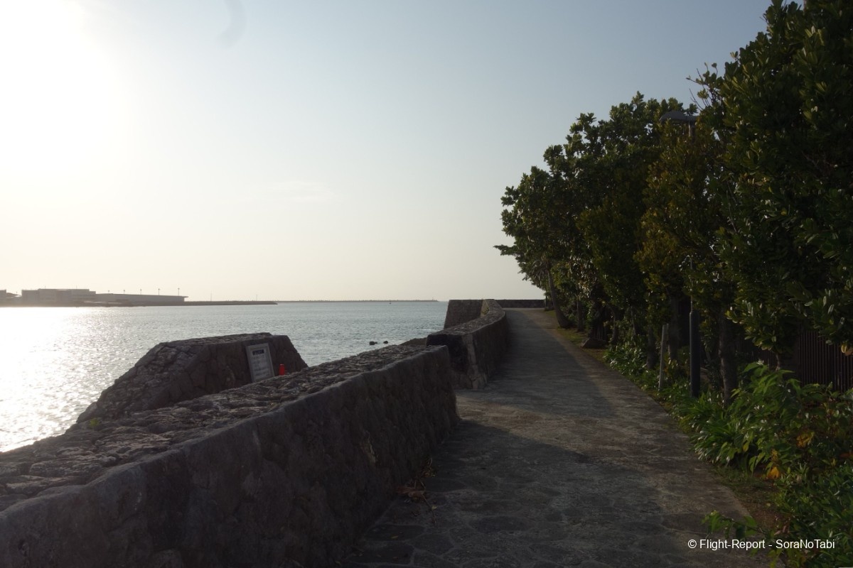 photo dsc03646