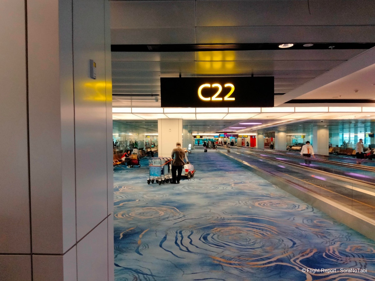 photo img20241101174556