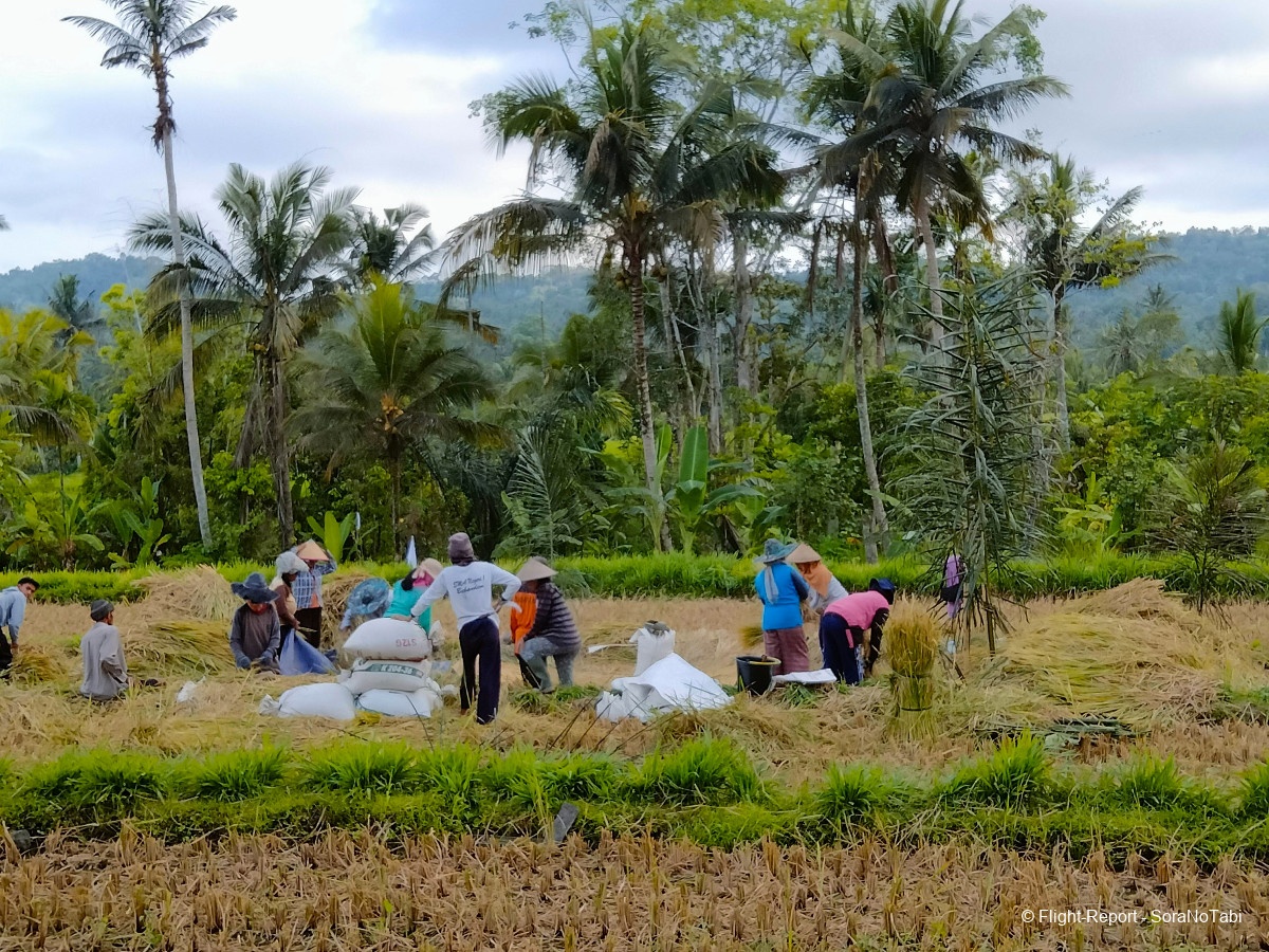 photo img20241107172153_img20241106170954_1