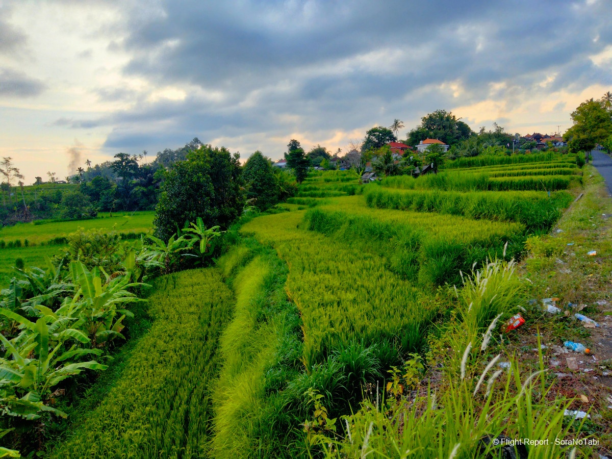 photo img20241107172154