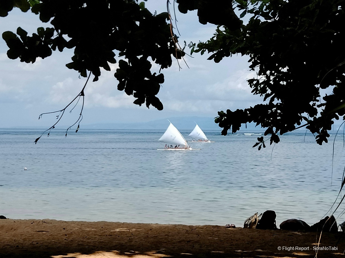 photo img20241108145150