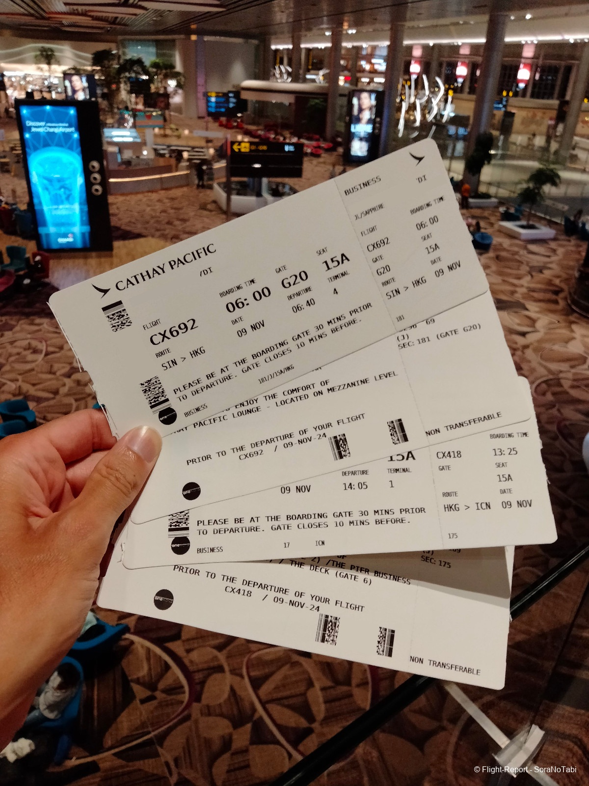 photo img20241109035903_1img20241109040803_1