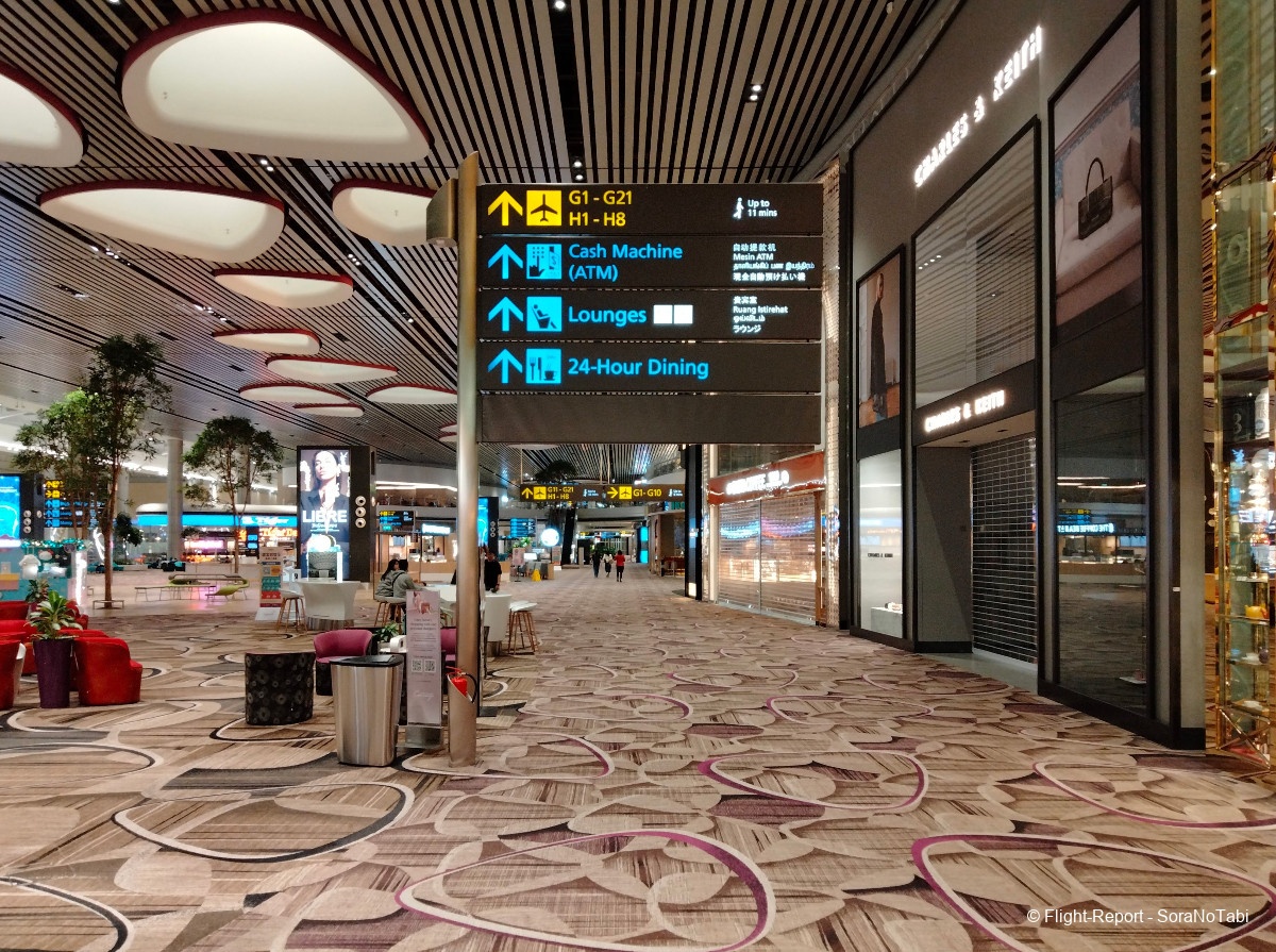 photo img20241109040459_1