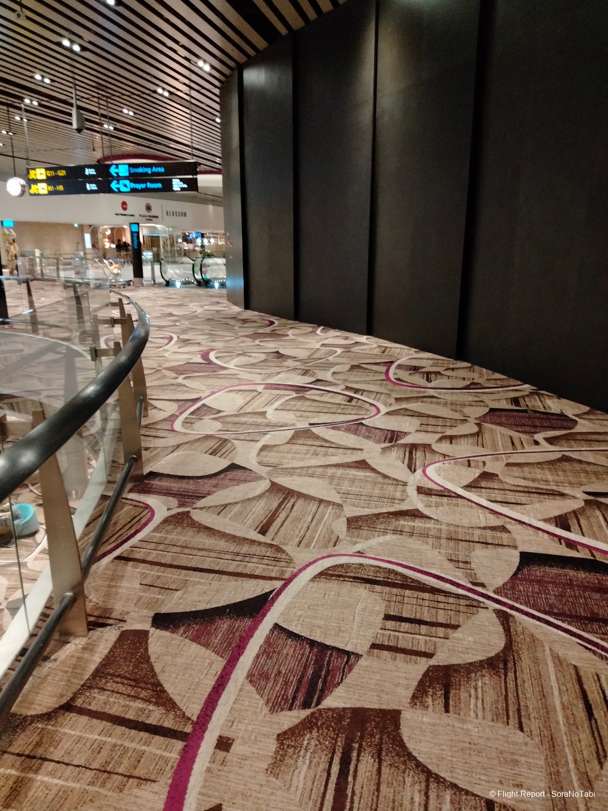 photo img20241109040853