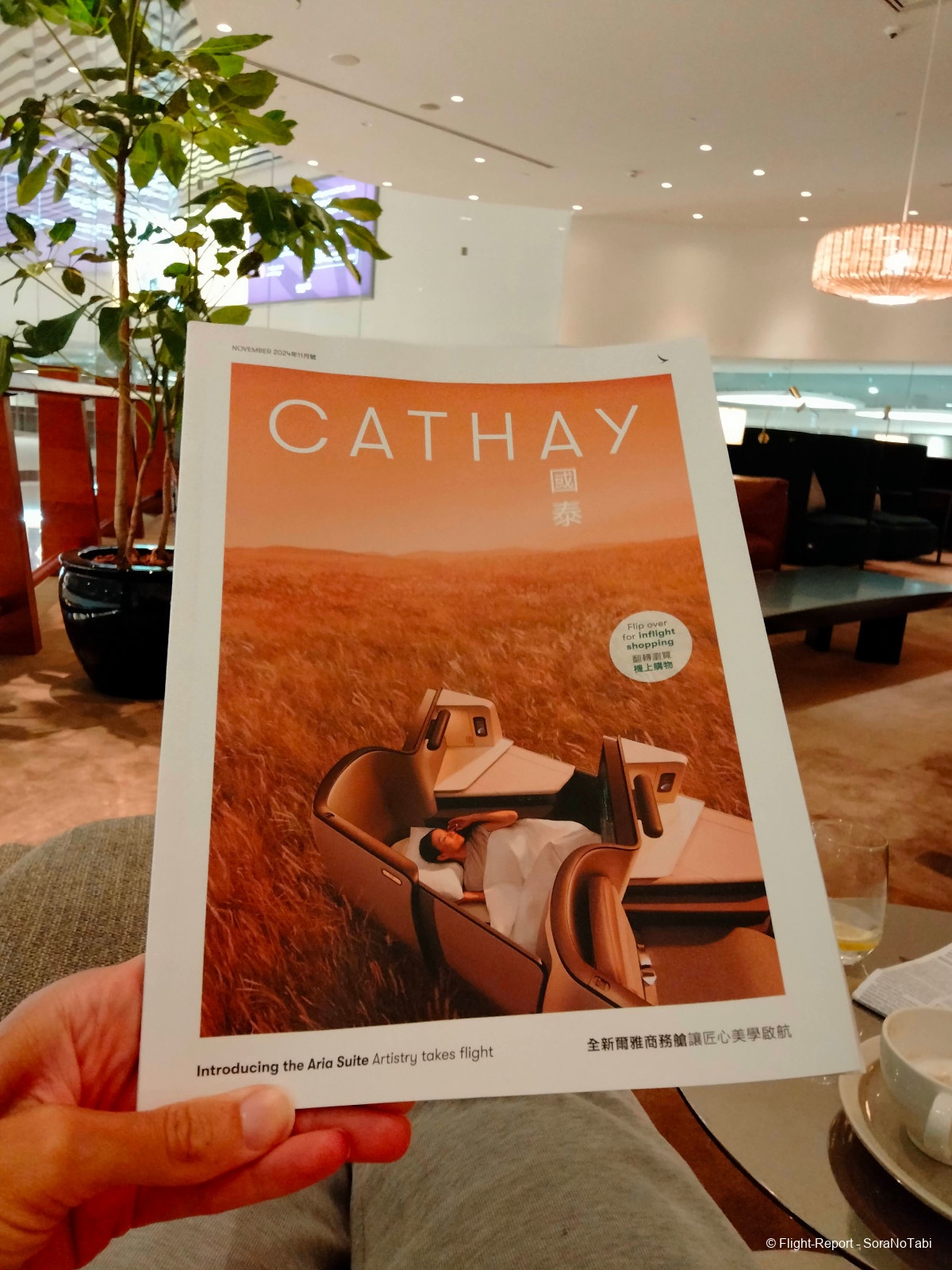 photo img20241109060224