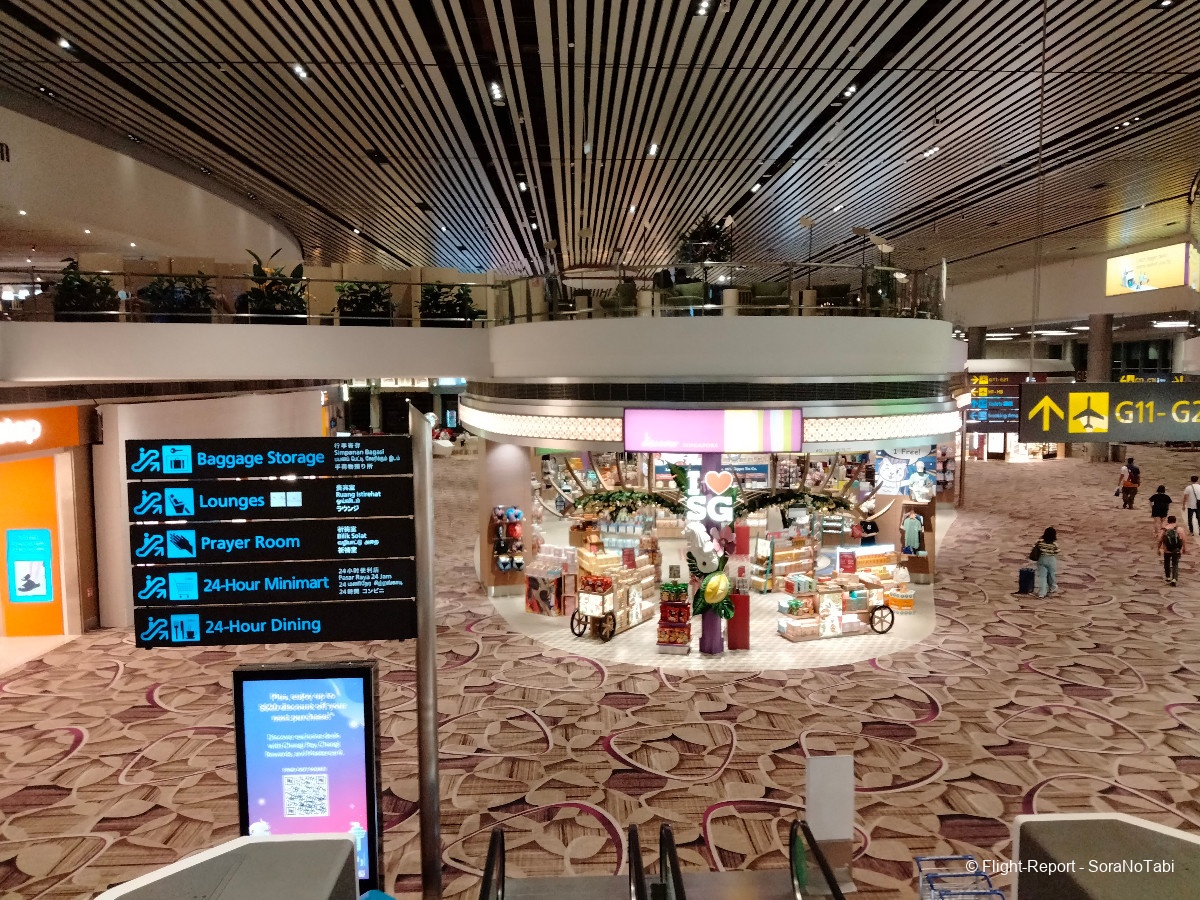 photo img20241109061213