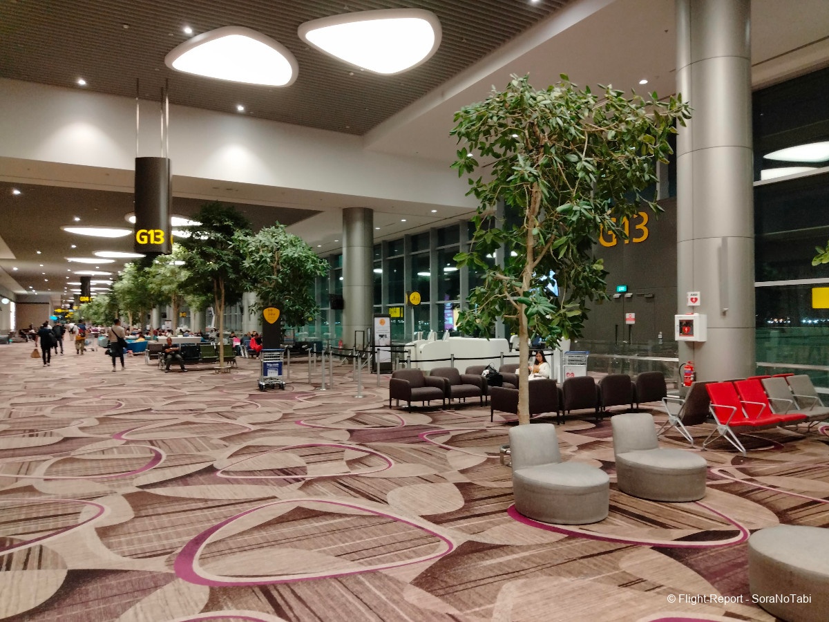 photo img20241109061435