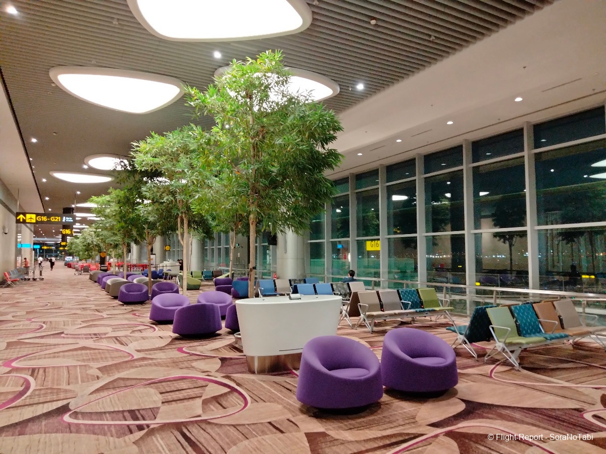 photo img20241109061556