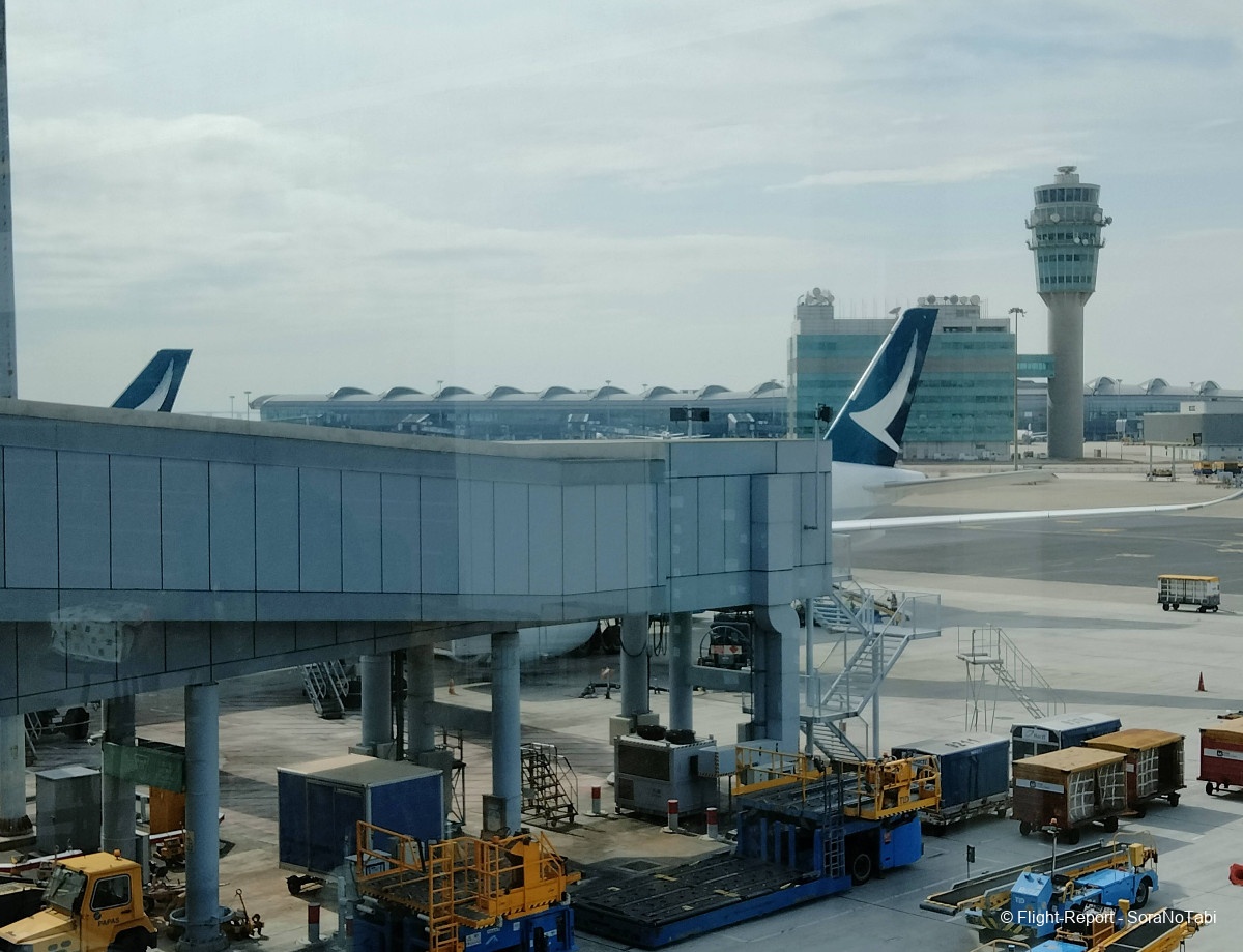 photo img20241109134303_1