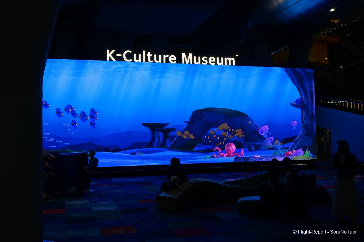 photo img20241109175631_dsc04572