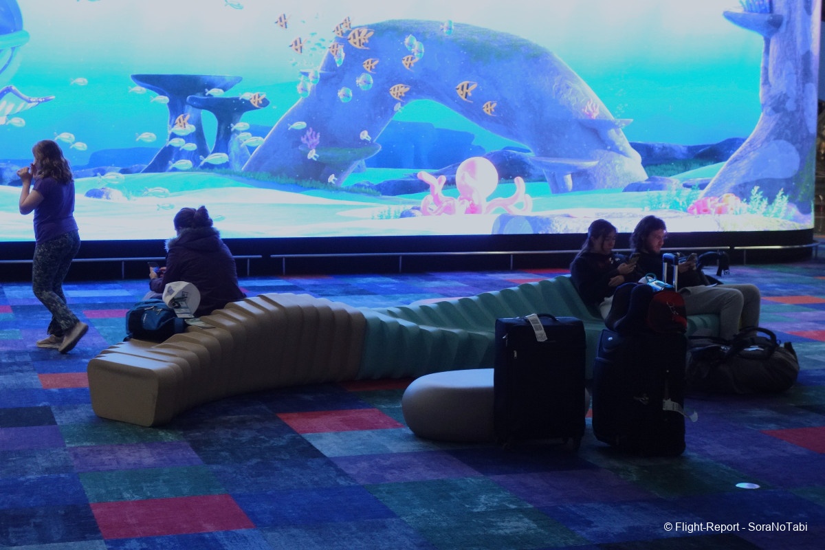 photo img20241109175631_dsc04574_1