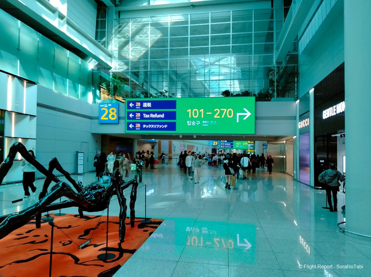 photo img20241110112608_1