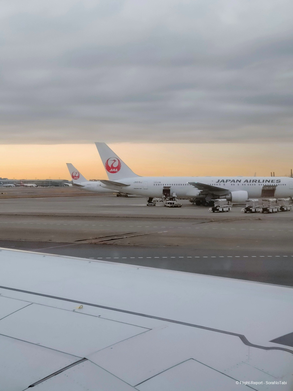 photo img20241225155611_11