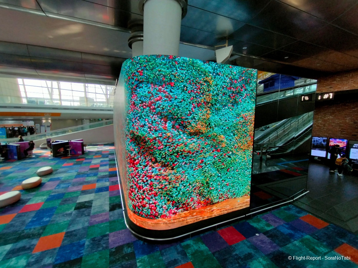 photo img20241230130036