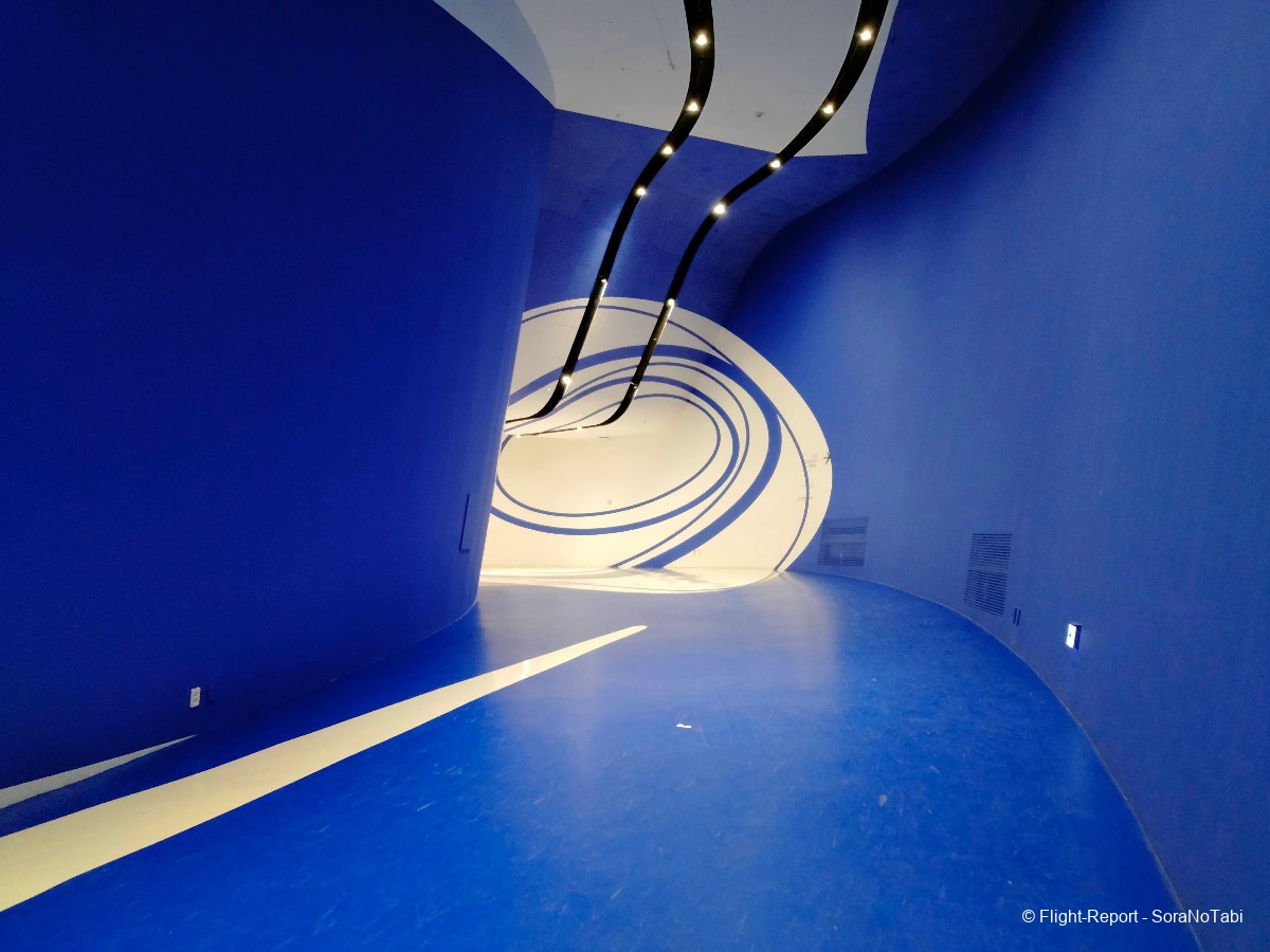 photo img20241231145328