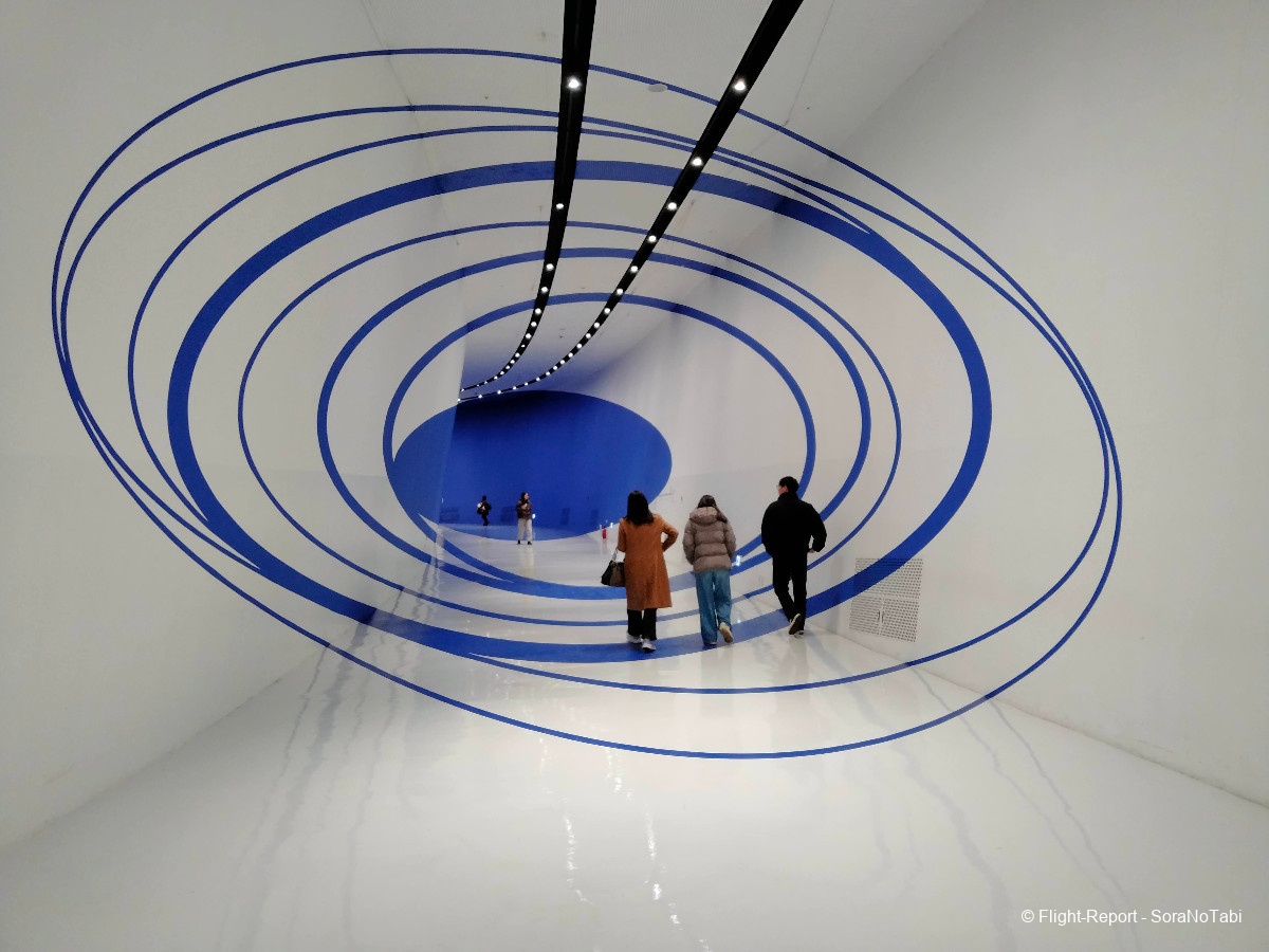 photo img20241231145350_img20241231145241