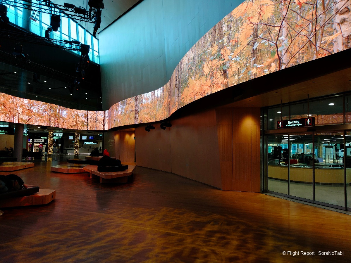 photo img20250102132059_img20250102105145