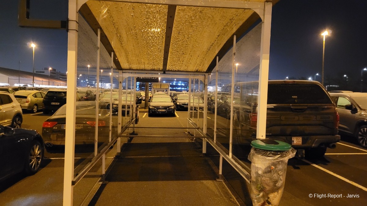 photo 20250217_064916