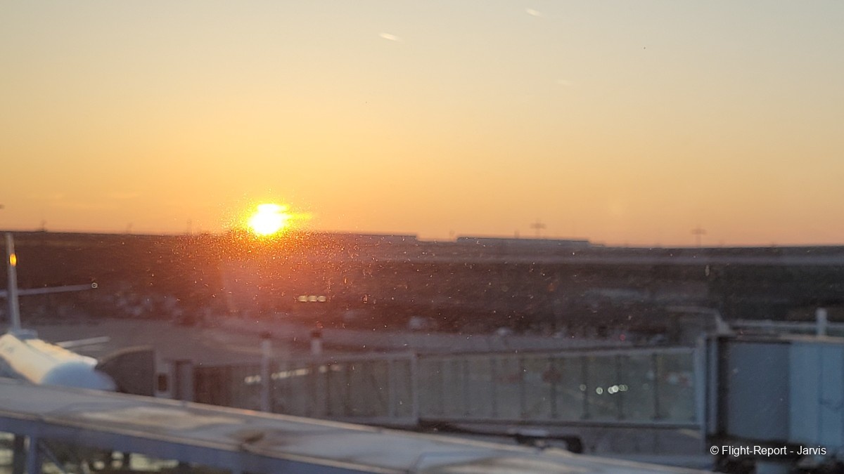 photo 20250217_080649
