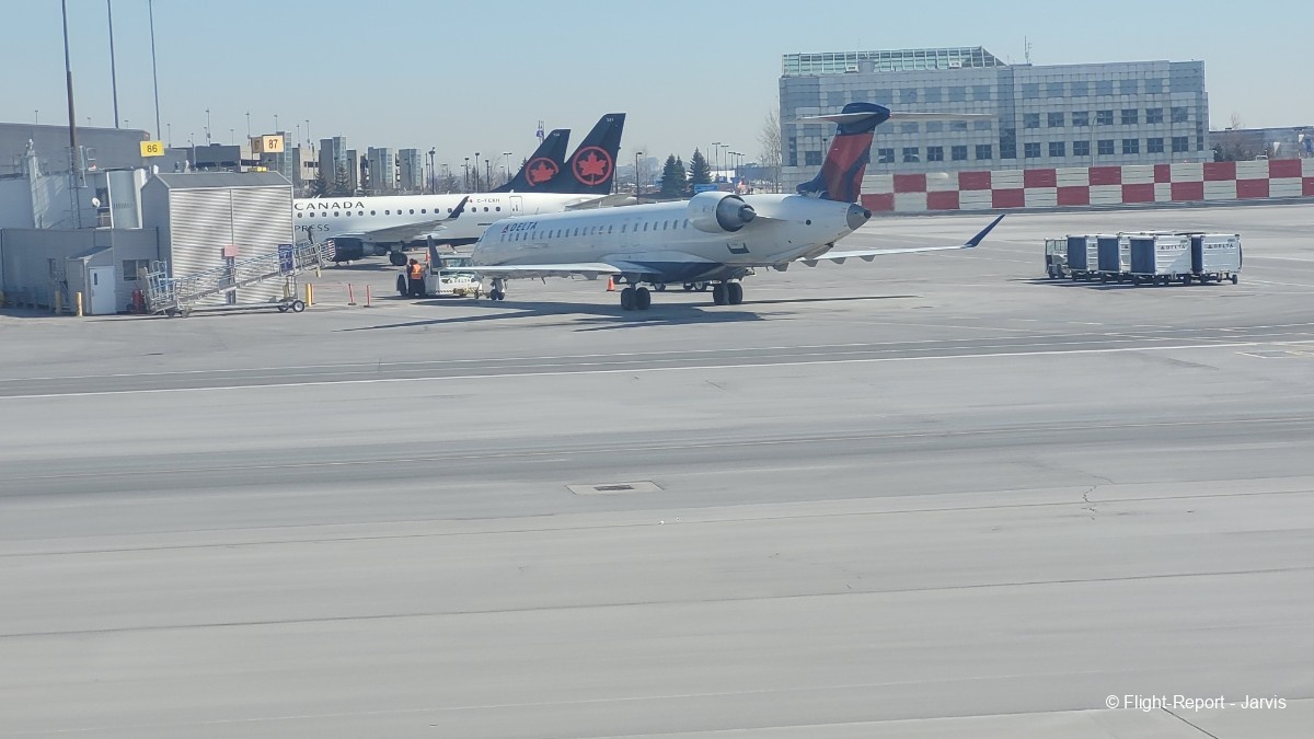 photo 20250314_124010