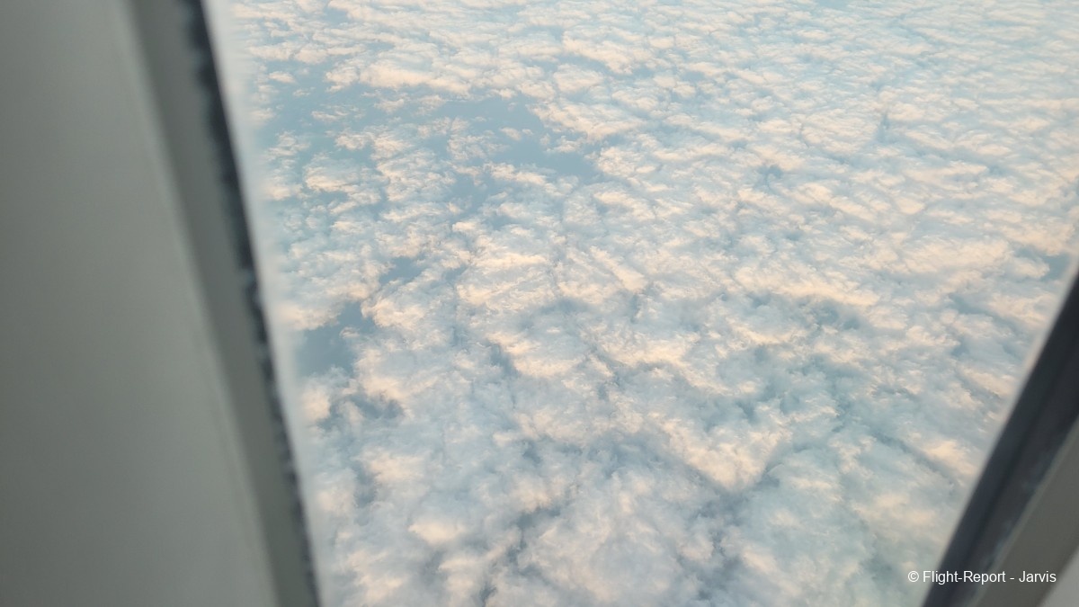 photo 20250611_080616