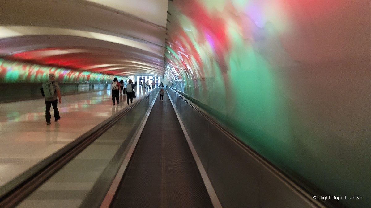 photo 20250811_130021