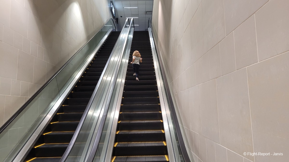 photo 20250811_131702