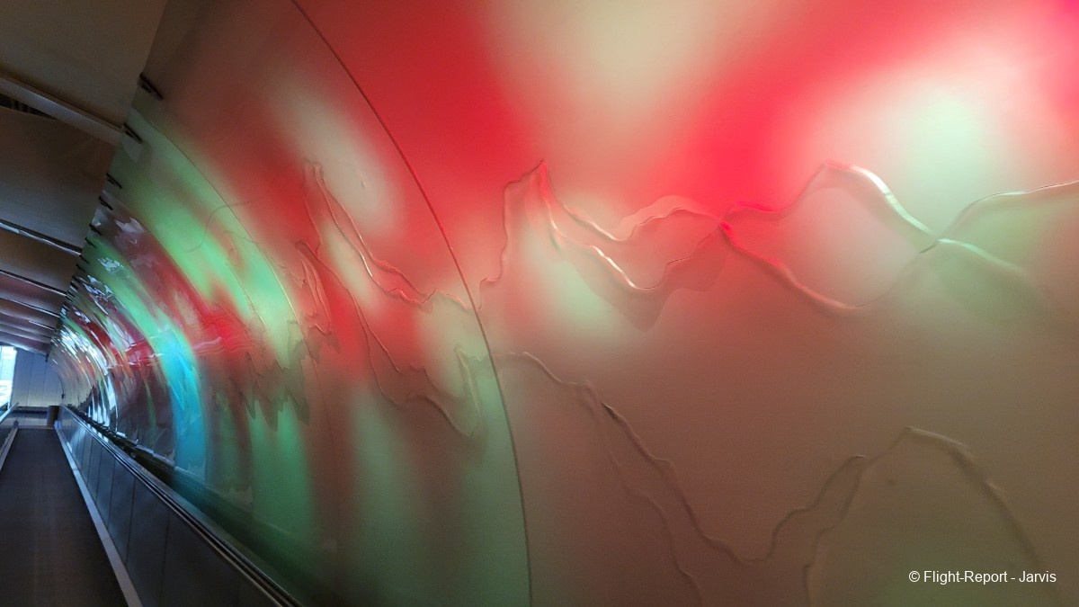 photo 20250811_132301