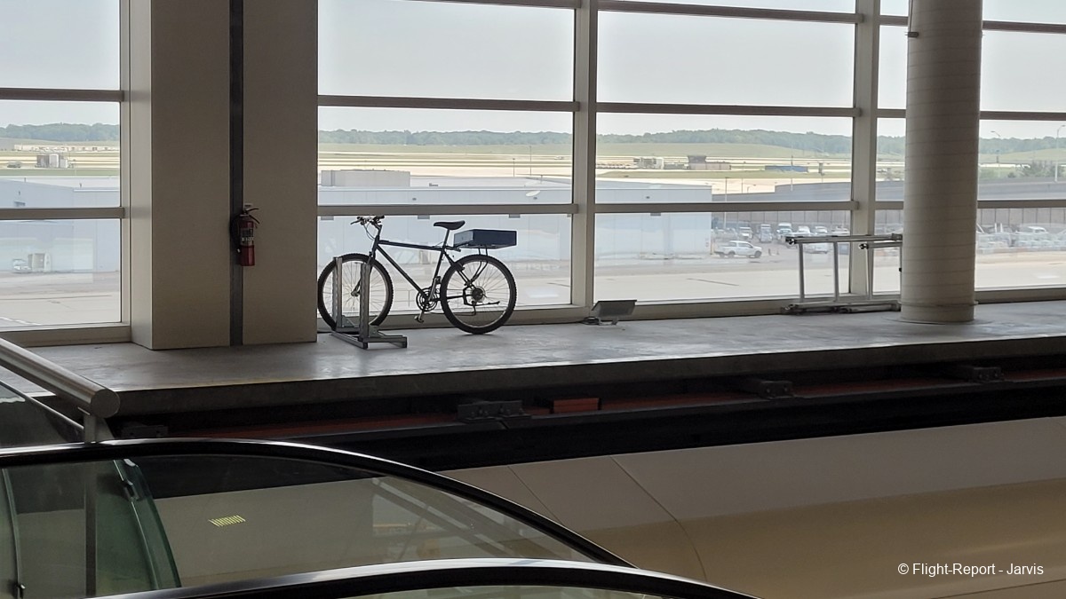 photo 20250811_141841