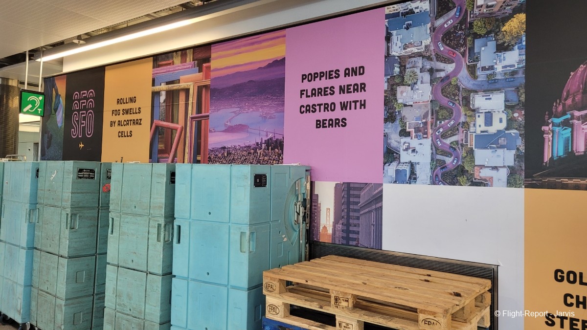 photo 20250811_091342