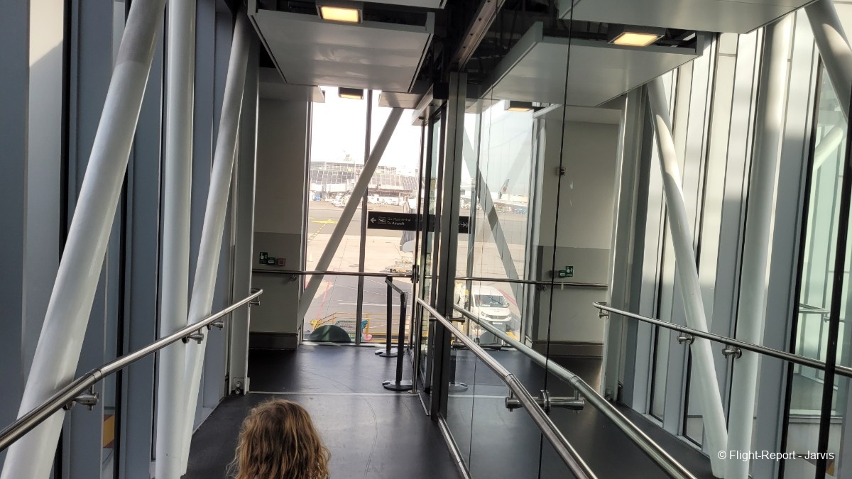 photo 20250811_091933