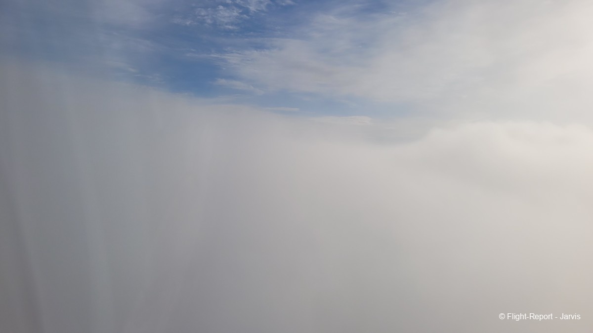photo 20250811_085119