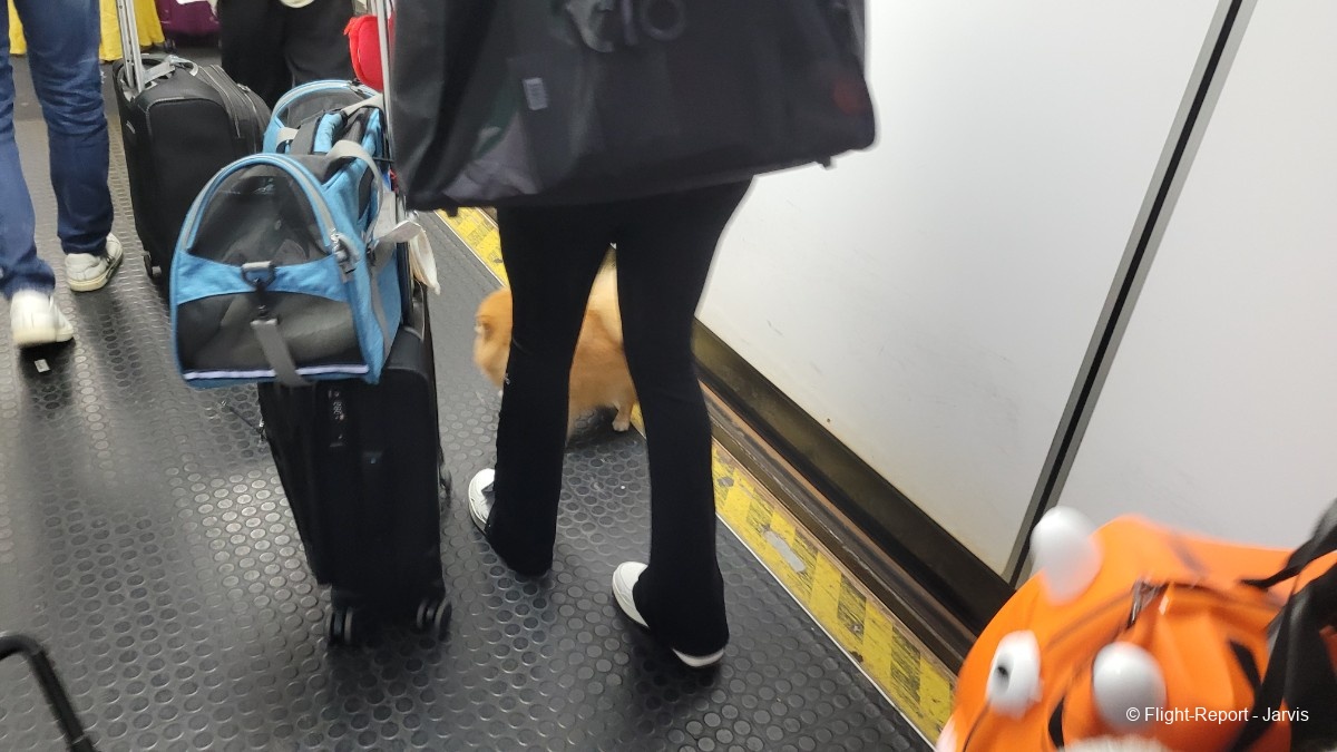 photo 20250818_180737