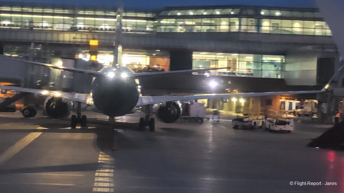 photo 20250819_040535