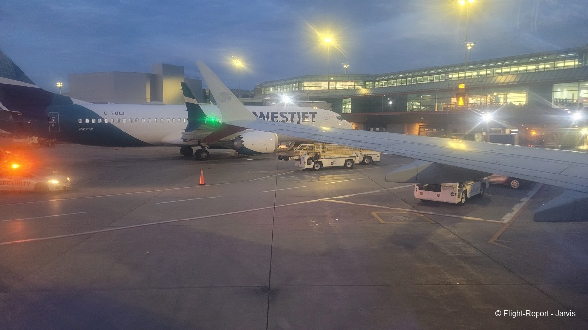 photo 20250819_040747